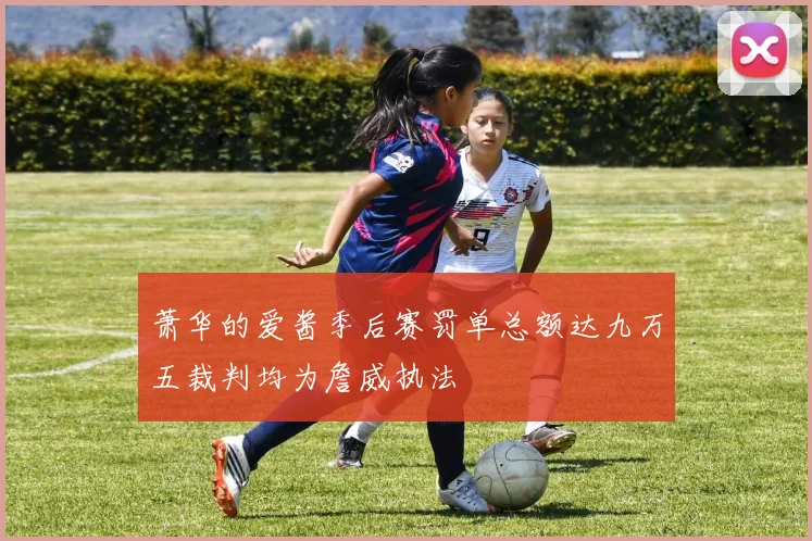 萧华的爱酱季后赛罚单总额达九万五裁判均为詹威执法