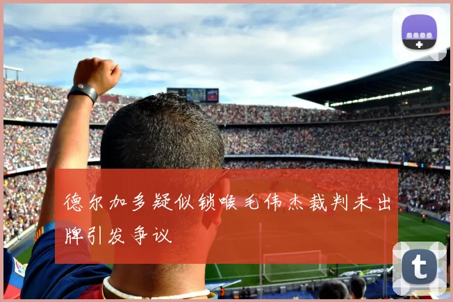 德尔加多疑似锁喉毛伟杰裁判未出牌引发争议