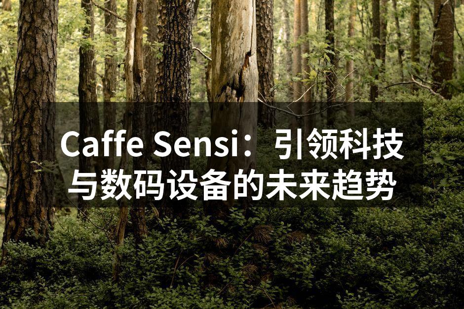 Caffe Sensi最新智能家居产品展示