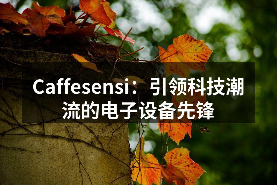 Caffesensi最新数码设备发布会现场